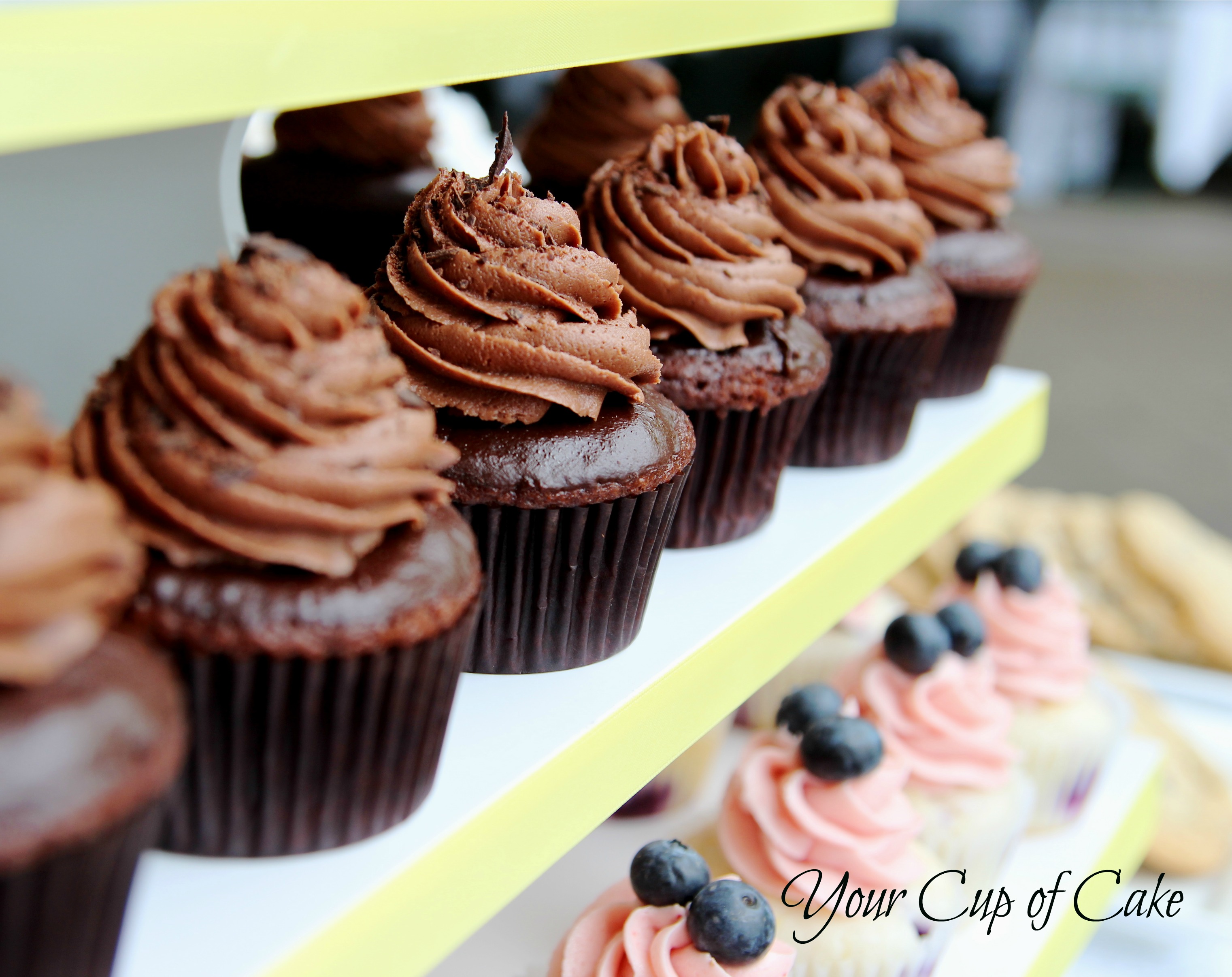 My Favorite Chocolate Cupcake - Your Cup of Cake