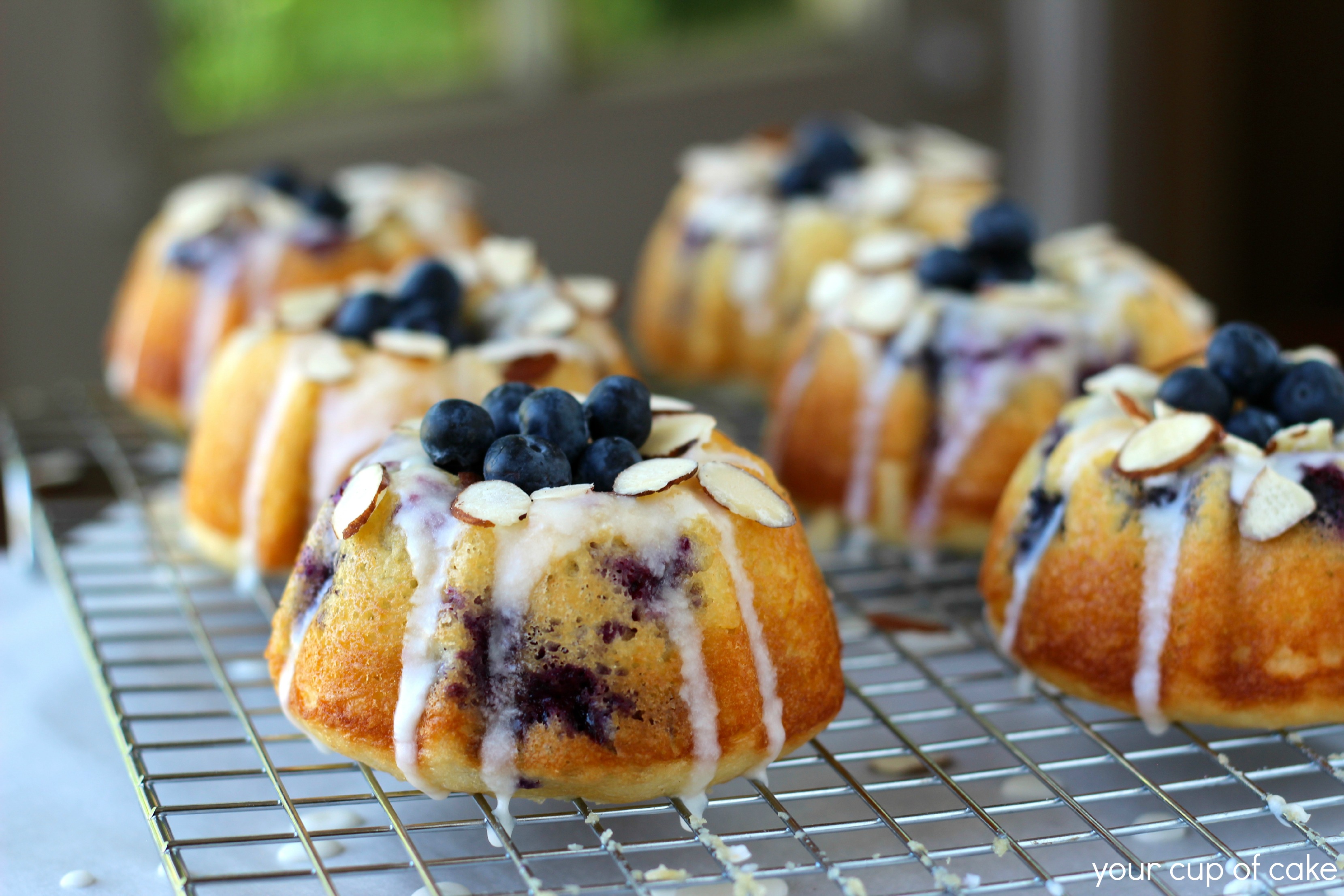Blueberry Almond Mini Bundt Cakes Your Cup Of Cake