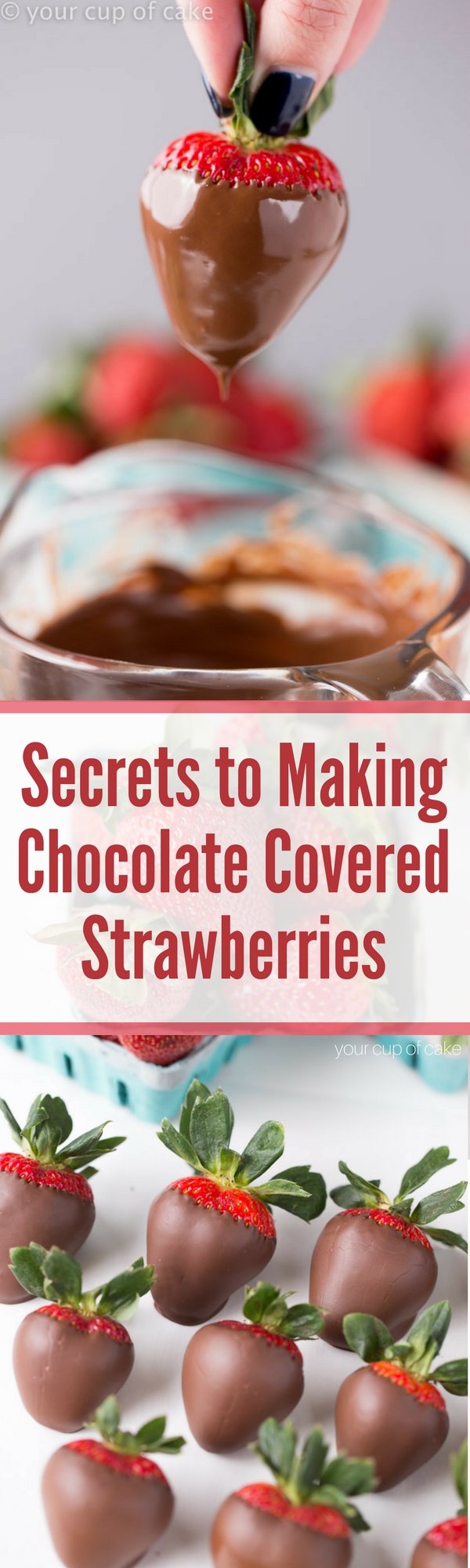 Secrets to Making Perfect Chocolate Covered Strawberries - Your Cup of Cake