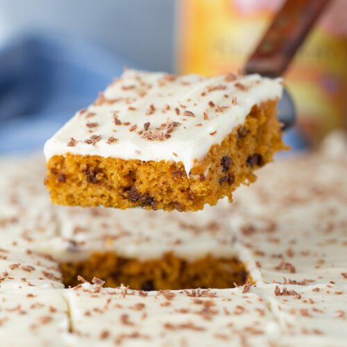 Pumpkin Chocolate Chip Sheet Cake - Your Cup of Cake